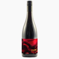 2025 Cinsault